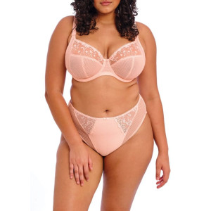 Charley Underwire Stretch Lace Plunge Bra